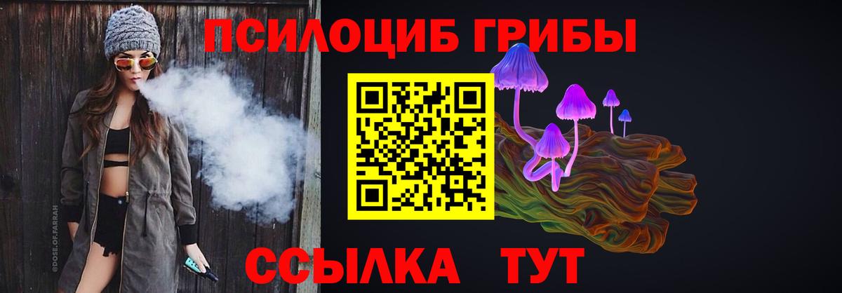 Псилоцибиновые грибы MAGIC MUSHROOMS  Вход с VPN  Дальнереченск  Псилоцибиновые грибы Psilocybe 